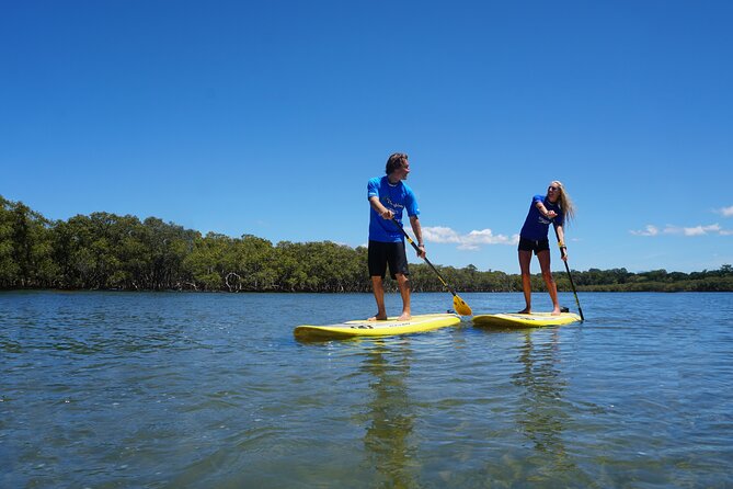 The Byron Bay Sea Kayak Tour - Views of the lighthouse, Wategos and Julian Rocks