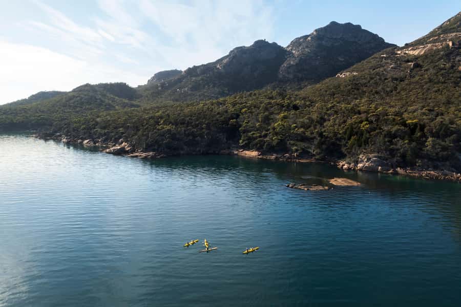 The Freycinet Paddle Kayak Tour - Wildlife along the protected waters