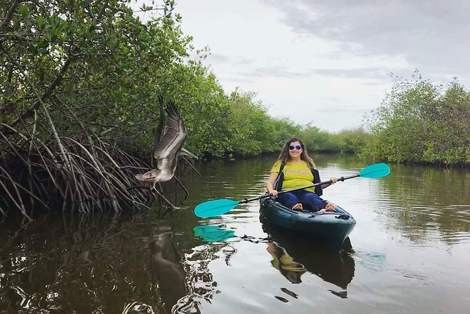 Thousand Island Mangrove Tunnel, Manatee & Dolphin Kayak Tour w/Cocoa Kayaking - Why the Thousand Islands make a fine kayak setting