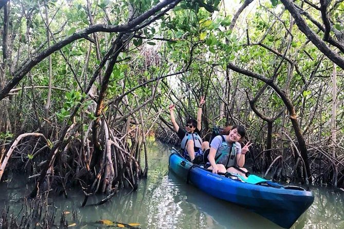 Thousand Island Mangrove Tunnel, Manatee & Dolphin Kayak Tour w/Cocoa Kayaking - Open water wildlife: manatees, dolphins, and more