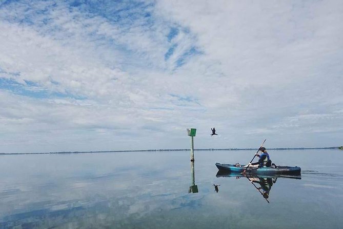 Thousand Island Mangrove Tunnel, Manatee & Dolphin Kayak Tour w/Cocoa Kayaking - Inside the mangrove tunnels