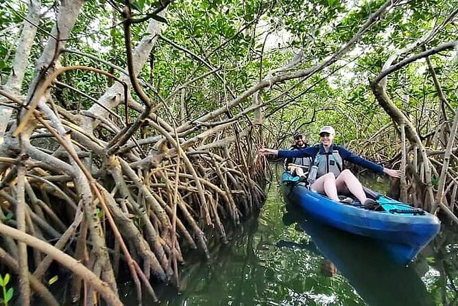 Thousand Island Mangrove Tunnel, Manatee & Dolphin Kayak Tour w/Cocoa Kayaking - What the guide adds to a two-and-a-half-hour tour