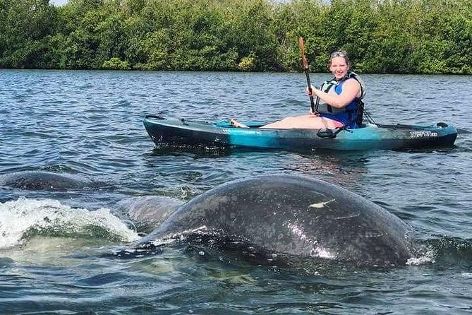 Thousand Island Mangrove Tunnel, Manatee & Dolphin Kayak Tour w/Cocoa Kayaking - Photos, gear, and small practical touches