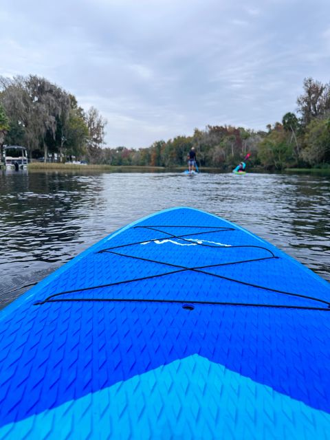 Three Sister Springs: Self Guided Tour- Clear Kayak Rental - What self-guided really means