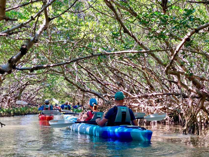 Tierra Verde FL: Coastal Kayaking Tour in Shell Key - Is $65 a fair price?