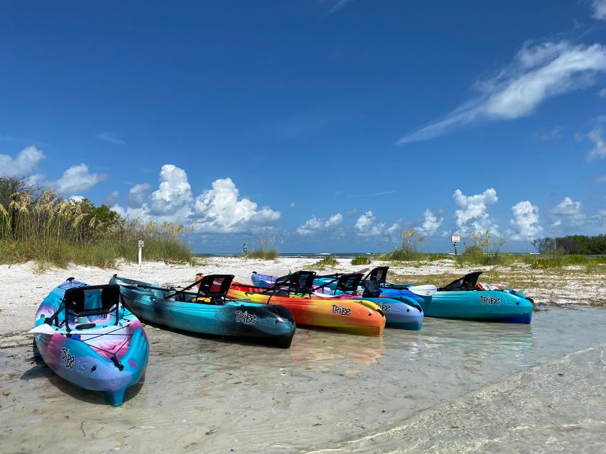 Tierra Verde FL: Coastal Kayaking Tour in Shell Key - Meeting at 2800 Pinellas Bayway South