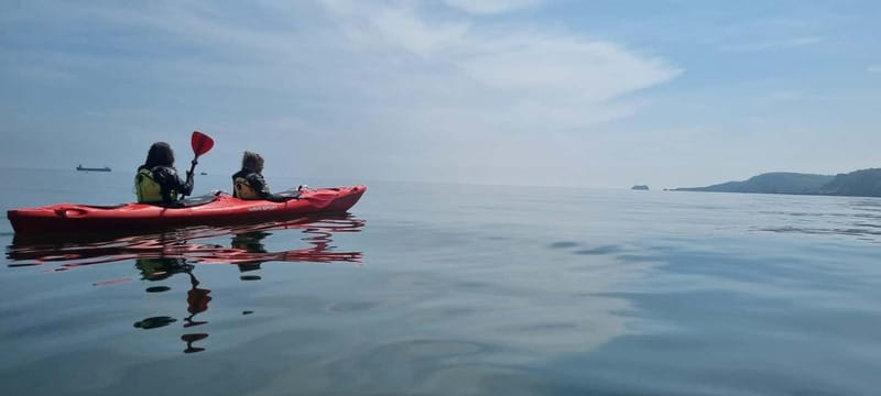 Torquay: Guided Wildlife, Bushcraft, Sea Cave Kayak Safari - Key points to know before you book