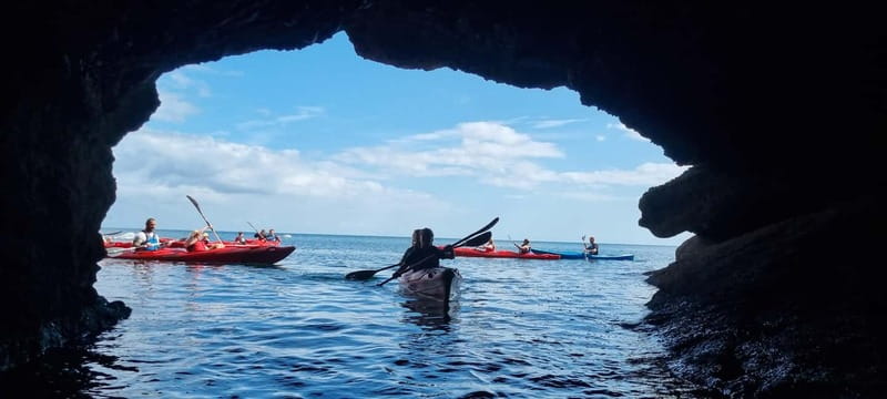 Torquay: Guided Wildlife, Bushcraft, Sea Cave Kayak Safari - Why this Torquay kayak safari is more than a paddle