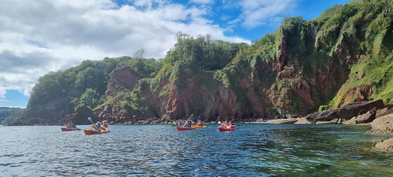 Torquay: Guided Wildlife, Bushcraft, Sea Cave Kayak Safari - Who should book this experience?