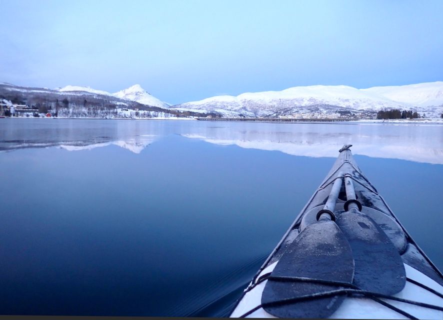 Tromsø: Winter Sea Kayaking Tour with Wildlife Sightings - Key points to know before booking