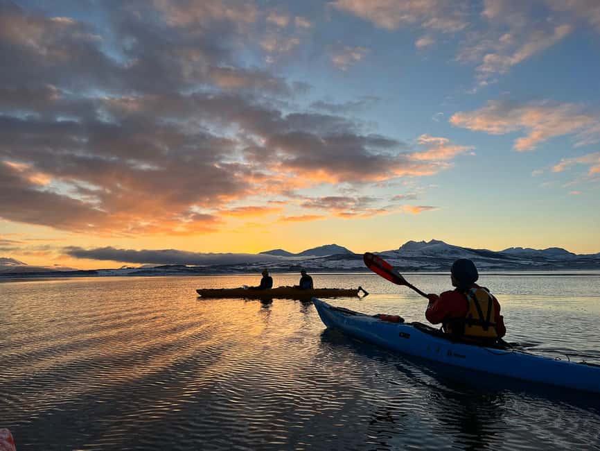 Tromsø: Winter Sea Kayaking Tour with Wildlife Sightings - Paddling through fjords, islands, and snow