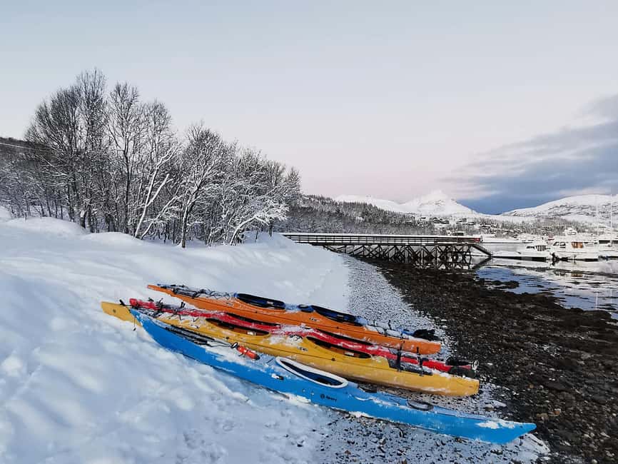 Tromsø: Winter Sea Kayaking Tour with Wildlife Sightings - Is $225 a fair price?