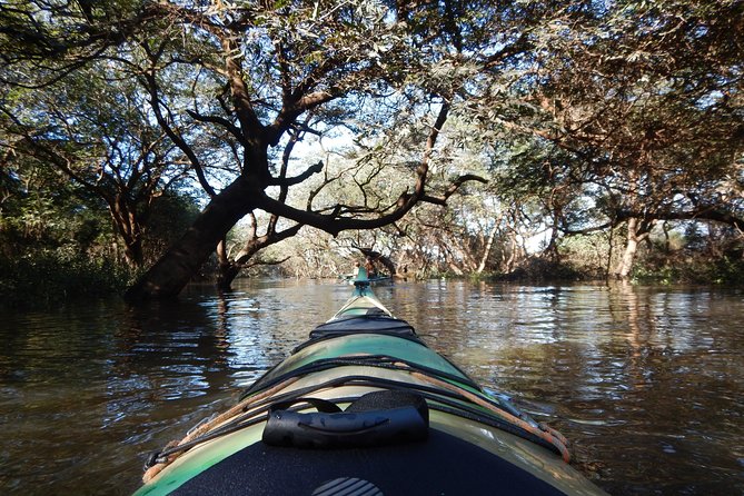 TRU KAYAK - Cruise along the majestic Uruguay River - A gentle day on Argentina’s Uruguay River