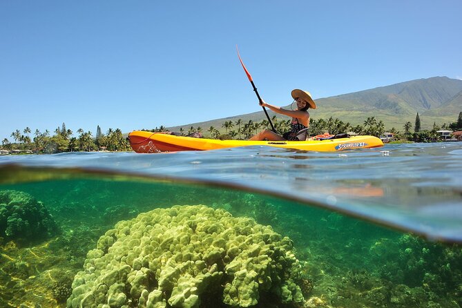 Turtle Reef Kayak Tour of Makena, Maui - Who will enjoy this Makena kayak tour most