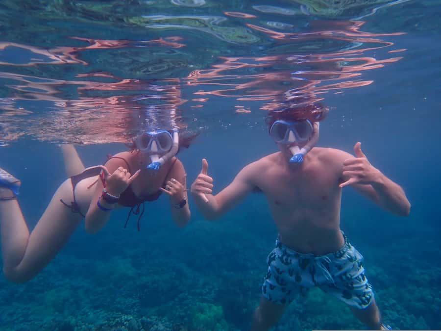 Turtle Town Clear Kayak & Snorkel Tour (8am-11am) - Who will enjoy this tour most