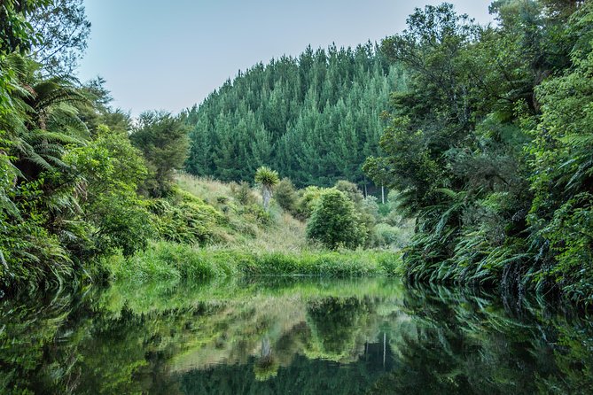 Twilight Glowworm Kayak Tour – Lake Karapiro - Key details before you book