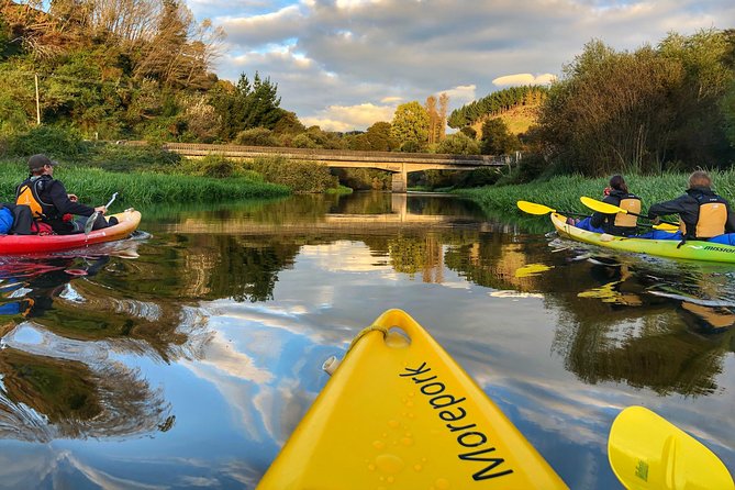 Twilight Glowworm Kayak Tour – Lake Karapiro - Why the darkness is the main event