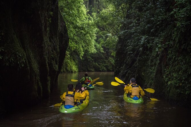 Twilight Glowworm Kayak Tour – Lake Karapiro - Guides, safety, and the feel of the group