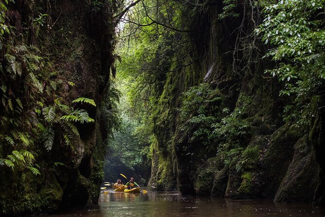 Twilight Glowworm Kayak Tour – Lake Karapiro - What to wear and bring for a comfortable evening