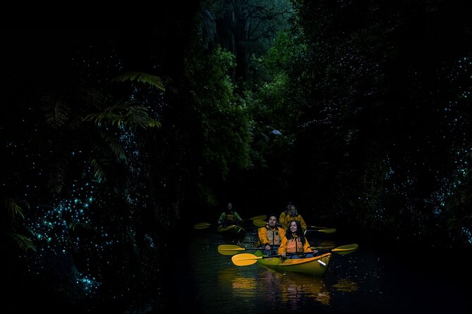 Twilight Glowworm Kayak Tour – Lake Karapiro - Is $92.47 good value?