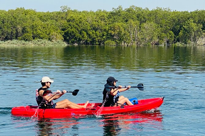 Two Hours Guided Kayaking Tour Reem Central Park Abu Dhabi - Who should book this Abu Dhabi kayaking tour?