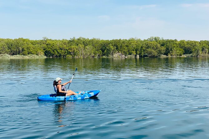 Two Hours Guided Kayaking Tour Reem Central Park Abu Dhabi - Should you book it?