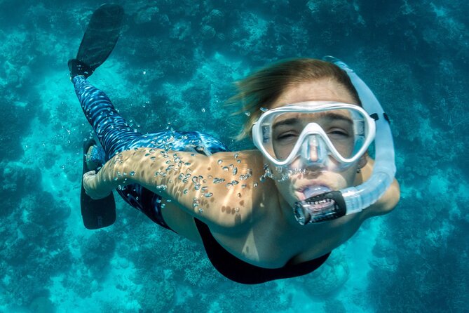 Uncharted Marine Reserve Cave, Snorkel & Cliff Jumping Kayak Tour - Paddling to the San Antonio Marine Reserve