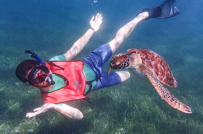 Under the Sea snorkeling(Stingray/Kayak/ Power Snorkel available) - Is $150 per person a fair price?