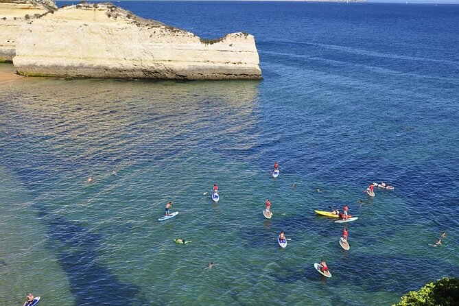 Unique Stand Up Paddle Experience! - Price and what you receive for $66.16