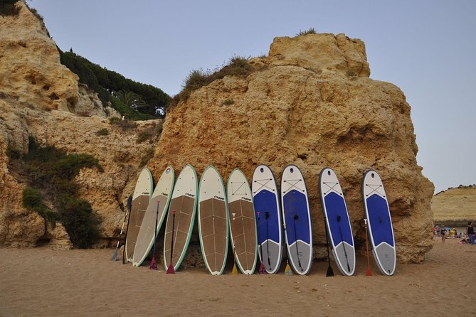 Unique Stand Up Paddle Experience! - Other routes from Ocean Tours