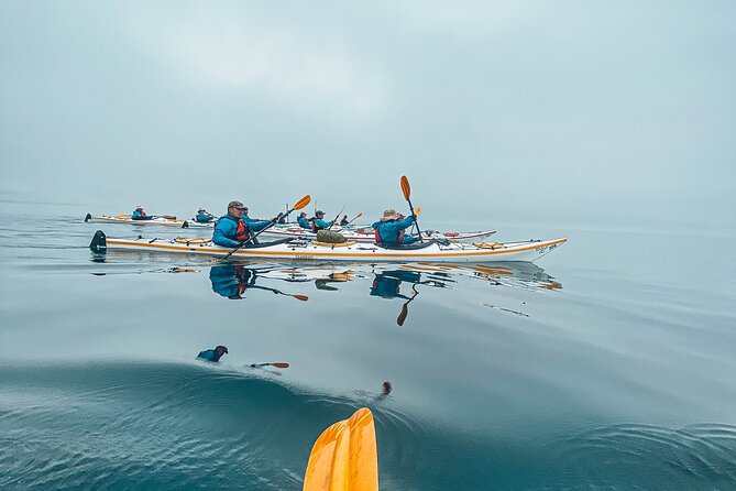 Vancouver Island: Half-Day Kayak Tour from Telegraph Cove - Paddling out from Telegraph Cove