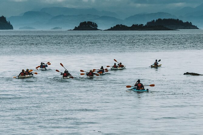 Vancouver Island: Half-Day Kayak Tour from Telegraph Cove - Remote beaches, rocky shores, and open water