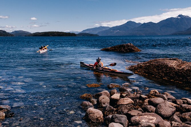 Vancouver Island: Half-Day Kayak Tour from Telegraph Cove - Guides who add more than directions