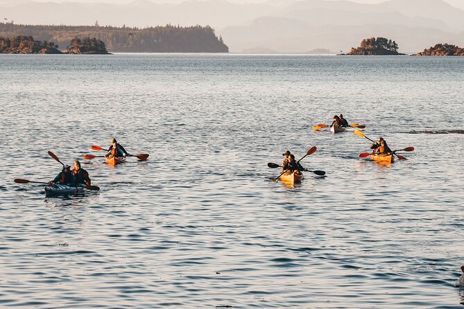 Vancouver Island: Half-Day Kayak Tour from Telegraph Cove - Heading east toward Blinkhorn Peninsula
