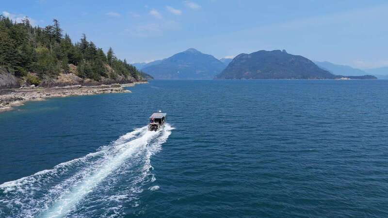 Vancouver: Snorkeling Seals Kayaking Scenic Boat Tour - What spring, summer, and fall are really like