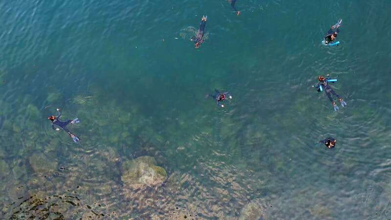 Vancouver: Snorkeling Seals Kayaking Scenic Boat Tour - Food, drinks, and equipment included