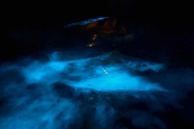 Vieques island Biobay Kayaking Tour - Key points at a glance