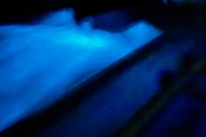 Vieques island Biobay Kayaking Tour - What the guides add to the night