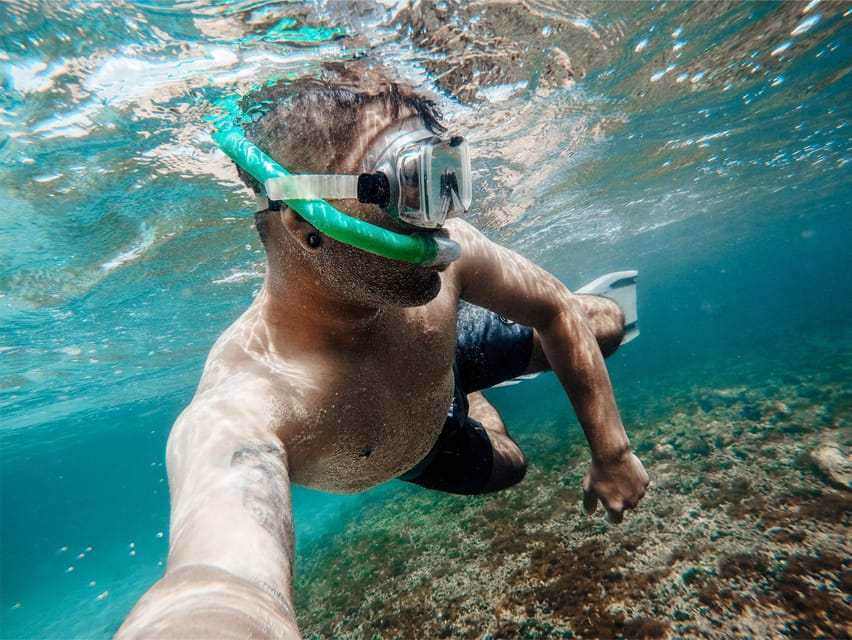 Villajoyosa: Excursión guiada en kayak con snorkel - Returning to the same starting point