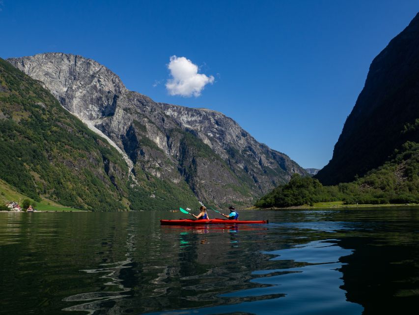 Vossevangen: Nærøyfjord Full-Day Guided Kayaking Trip - Who will enjoy this outing most