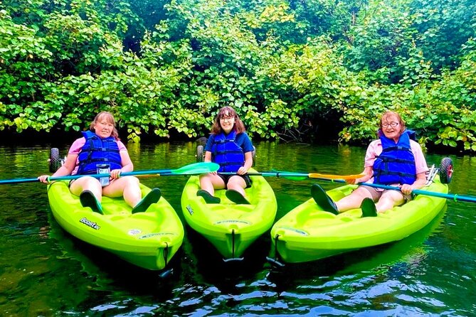 Wailoa River to King Kamehameha Statue Kayak Adventure - Starting at Wailoa River in Hilo