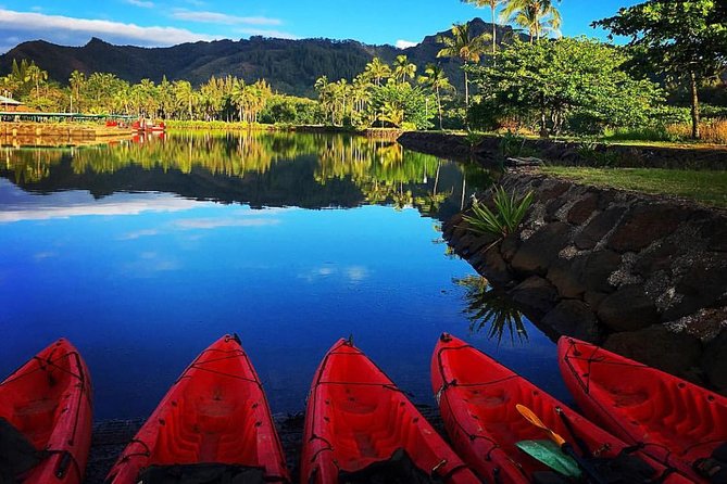 Wailua River & Waterfalls Kayak Tour: Expert-Guided Adventure - The rainforest trail to Secret Falls