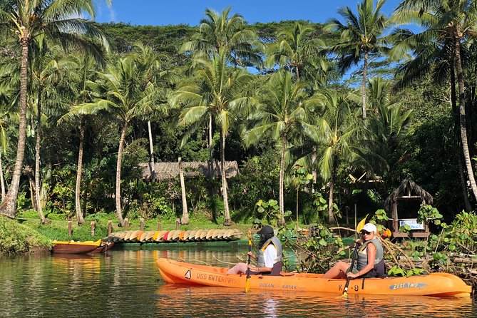 Wailua River & Waterfalls Kayak Tour: Expert-Guided Adventure - Guides add the meaning to the scenery