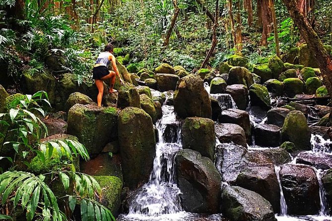 Wailua River & Waterfalls Kayak Tour: Expert-Guided Adventure - How difficult is this half-day adventure?