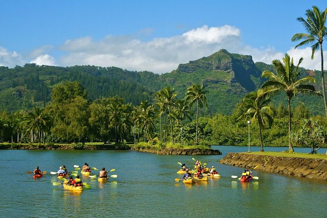 Wailua River & Waterfalls Kayak Tour: Expert-Guided Adventure - Timing, price, and overall value