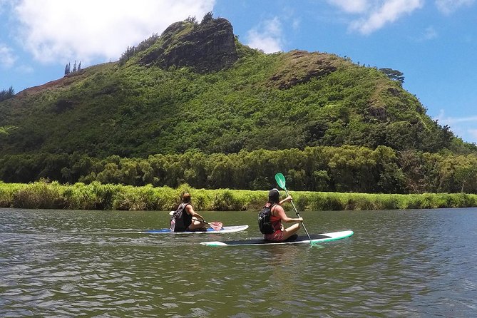 Wailua River & Waterfalls Kayak Tour: Expert-Guided Adventure - Who should choose this tour?