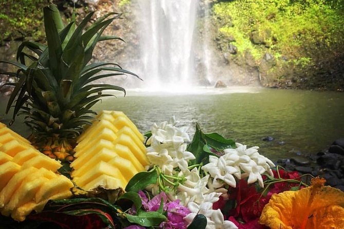 Wailua River & Waterfalls Kayak Tour: Expert-Guided Adventure - Secret Falls and the lunch stop