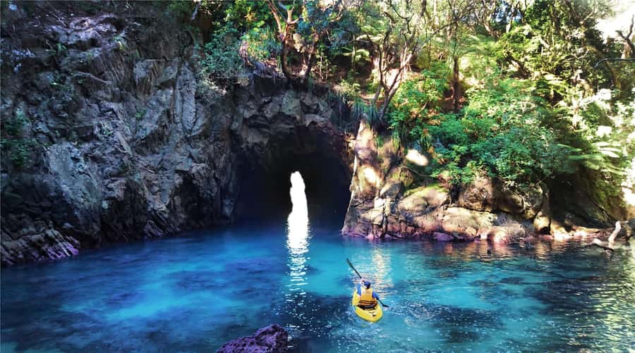 Whangamata: Donut Island Guided Kayaking Experience - Why Donut Island is worth the short paddle
