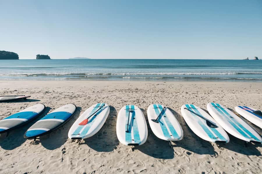 Whangamata: Donut Island Guided Kayaking Experience - Wildlife, plants, and responsible access