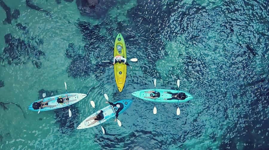 Whangamata: Donut Island Guided Kayaking Experience - What the two-hour outing feels like